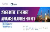 25gbE Intel® Ethernet ADVANCED FEATURES FOR NFV Function Daemon (VFD) Support • DPDK PF driver supports both DPDK and kernel VF • Lots of VF management features are added •