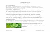 Artemisia annua - · PDF file Artemisia annua Seite 1 von 5 Dr. med. Heinz Lüscher Artemisia annua Dr. med. Heinz Lüscher Die Artemisia-Pflanze Bei Artemisia annua handelt es sich