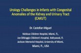 Urology Challenges in Infants with Congenital Anomalies of ...pediatrics.med.miami.edu/documents/Miguel_Castellanos_-_Urology... · Urology Challenges in Infants with Congenital Anomalies