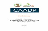 CAADP Country Implementation under the Malabo …...3 1 Introduction Since its launch in 2003, the Comprehensive African Agriculture Development Programme (CAADP) has matured. The