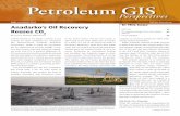 Petroleum GIS Perspectives Summer 2010 newsletter · 2012-09-18 · ESRI Petroleum User Group Conference February 2011 (dates TBD) Houston, Texas, USA ... has been in practice by