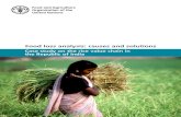 Case study on the rice value chain in the Republic of …3 Distribution channels for the rice supply chain 7 4 FSSAI standards for rice 7 5 Damaged food grains and their destination
