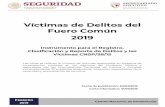 Víctimas de Delitos del Fuero Común 2019secretariadoejecutivo.gob.mx/docs/pdfs/nueva-metodologia/CNSP-Ví… · 4 Víctimas de delitos contra el patrimonio 711 4.4 Extorsión 711