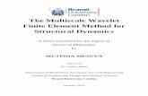 The Multiscale Wavelet Finite Element Method for ... · The Multiscale Wavelet Finite Element Method for Structural Dynamics A thesis submitted for the degree of Doctor of Philosophy