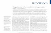 Regulation of microRNA biogenesis - Gene-Quantification · The biogenesis of miRNAs is under tight temporal and spatial control, and their dysregulation is associated with many human