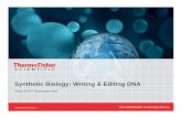 Synthetic Biology: Writing & Editing DNA€¦ · Synthetic Biology: Writing & Editing DNA. 2 Proprietary & Confidential Breeding Accelerated breeding Biotechnology ... TTA L ATC ATT