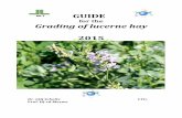 GUIDE TO LUCERNE GRADING 2015 - National Lucerne Trust · PDF file ‘Possible’ results should be re-analysed before official grading takes place. If a second ‘Possible’ result