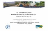 0706 FAO Silva Mediterranea - EastAgri Silva Mediter… · FAO Silva Mediterranea EnhancingRegionalCollaboration for MediterraneanForests Presentation prepared by N. Berrahmouni&