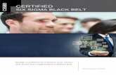 SIX SIGMA BLACK BELTiqmscertifications.com/iqms.pdf · INFORMATION Certified Six Sigma Black Belt The Certified Six Sigma Black Belt (CSSBB) is a professional who can explain Six