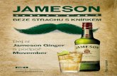 JAMESON - Pernod Ricard€¦ · BEZE STRACHU S KNÍRKEM JAMESON Dej si Jameson Ginger a podpoř Movember #sinemetu #bezestrachu