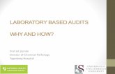Laboratory Based Audit - Stellenbosch Universityacademic.sun.ac.za/stellmed/CourseMaterial/Leadership and Laborat… · •Within the cycle there are stages •Establishing best practice