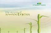 The power of sweetness - Gangakhedgangakhedicpp.com/download/Gangakhed_Brochure.pdf · The plant requires bagasse and coal to fuel the boiler of the co-gen power plant. The quantity