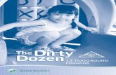 Dirty Dozen Broch r5 - Zeager€¦ · with the ‘Dirty Dozen Checklist’, you can inspect your local playground for safety hazards. Should you identify any of the following hazards