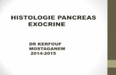 HISTOLOGIE PANCREAS EXOCRINEuniv.ency-education.com/.../1/0/13102001/histo2an27-pancreas_exoc… · 2. canaux excréteurs a ;intra- lobulaires -canal intercalaire : long et étroit