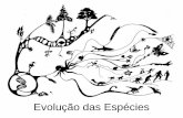 Evolução das Espécies - censa.edu.br§ão 2017.pdf · CHARLES DARWIN (1809-1882) e ... EVIDÊNCIAS EVOLUTIVAS. EVIDÊNCIAS EVOLUTIVAS HOMOLOGIA E ANALOGIA Estruturas Homólogas