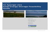 Te Aponga Uira Final Energy Storage Feasibility Study€¦ · Energy Storage Feasibility Study 7 September, 2012 2. Objectives and Overview This report was developed by DNV KEMA for