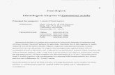 Ethanologenic Enzymes of Zymomonas mobilis/67531/metadc712175/m2/1/high_re… · Ethanologenic Enzymes of Zymomonas mobilis Principal Investigator: Lonnie O'Neal Ingram ADDRESS: Dept.
