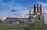 NISHAT POER LIMITED Nishat Power Limited (the ‘company’) is a public limited company incorporated in Pakistan. The company is a subsidiary of Nishat mills Limited. The company’s