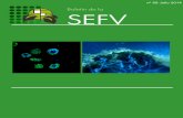 Boletín de la SEFVn-59-Julio-2014.pdf · Boletín de la SEFV nº 59 Julio 2014 ISSN 2340-8375 Imágenes de portada: Izquierda Patrón de metilación de DNA en núcleos de embrión