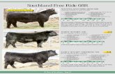 Southland Free Ride 68R - Cattle Management€¦ · s: southland free ride 68r sca 03h of ideal 1418 southland erroline 44l sca errolline 16h oakleaf to 1'90 r r daquantae 789e nhf
