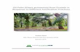 Oil Palm Elaeis guineensis Root Growth in Response to ... report - VP.pdf · Studying oil palm root distribution, especially the distribution of fine roots, and its response to different