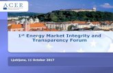 1st Energy Market Integrity and Transparency Forum€¦ · 1st Energy Market Integrity and Transparency Forum Ljubljana, 11 October 2017 . Update on REMIT implementation and operation