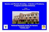 Banana and Plantain Breeding A Review of Problems ...banana- Banana and Plantain Breeding ¢â‚¬â€œ A Review