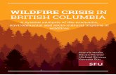 WILDFIRE CRISIS IN BRITISH COLUMBIA - Map the Systemmapthesystem.sbs.ox.ac.uk/wp-content/uploads/2019/... · WILDFIRE CRISIS IN BRITISH COLUMBIA A system analysis of the economic,