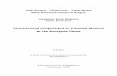 International Cooperation in Criminal Matters in the European Union · 2008-09-08 · Compared to the development of international cooperation in criminal matters, the protection