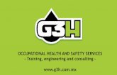 OCCUPATIONAL HEALTH AND SAFETY SERVICES - Training ......NOM-030 Process safety management Resistance levels for grounding system NOM-022 NOM-025 Reflection and lumminance levels NOM-029