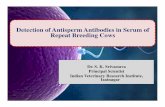 Detection of Antisperm Antibodies in Serum of Repeat ...€¦ · Detection of Antisperm Antibodies in Serum of Repeat Breeding Cows. Repeat Breeding , an important cause of low reproductive