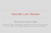 Vascular Liver Disease - FILFOIEVascular Liver Disease Dominique-Charles Valla DHU UNITY. Service d’Hépatologie, Hôpital Beaujon (AP-HP), Clichy-la-Garenne; and CRI, UMR U1149,