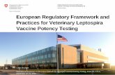 European Regulatory Framework and Practices for Veterinary ......2 European Regulatory Framework and Practices for Veterinary Leptospira Vaccine Potency Testing Lukas Bruckner, International