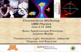 Fluorescence Workshop UMN Physics...Fluorescence Workshop UMN Physics June 8-10, 2006 Basic Spectroscopic Principles Joachim Mueller Fluorescence, Light, Absorption, Jablonski Diagram,