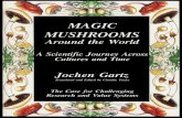 Magic Mushrooms Around The World · 2020-02-20 · mushrooms were so magically wonderful, that our native European "fool's mushrooms" - which were gene ; considered inedible - had
