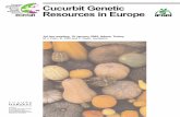 Cucurbit genetic resources in Europe · Cucurbit Genetic Resources in Europe  IPGRI is a Future Harvest Centre ... breeding material and wild relatives maintained in European