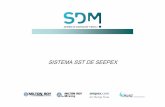 SISTEMA SST DE SEEPEX - Control de vertido industrialcontrolvi.com/wp-content/uploads/2013/08/Sistema_SST... · 2017-09-13 · No se requieren herramientas especiales ni medios de