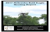 2017 Nebraska Bald Eagle Nesting Report - Joel Jorgensen's … · 2018-05-02 · 2017 Nebraska Bald Eagle Nesting Report 5 Formal surveys (previously referred to as targeted surveys