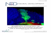 NEURAL DEVELOPMENT - Springer · 2017-08-24 · Neural Development Research article Open Access Amplification of neural stem cell proliferation by intermediate progenitor cells in