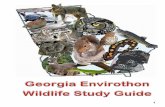 Georgia Envirothon Wildlife Study Guide...Georgia Envirothon Wildlife Study Guide 3 Skills to Know- Wildlife 1. Identify tracks, pelts, and skulls for all mammals listed on the specimen