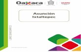 Dirección General de Población de Oaxaca - Fuente: INEGI. … · 2017-06-29 · Fuente: INEGI. Encuesta inter censal 2015 11 Tasa de alfabetización por grupo de edad Total Hombres