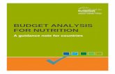 Budget Analysis for Nutritiondocs.scalingupnutrition.org/wp-content/uploads/... · activities. Budget & Planning Staff – in each engaged ministry (including the Ministry of Finance