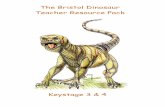 The Bristol Dinosaur Teacher Resource Packbristol-dinosaur.gly.bris.ac.uk/downloads/PalaeoKS3.pdf · Palaeontology Œ Keystages 3 & 4 EARTH SCIENCES TEACHING RESOURCES ' 2007 Books