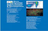 Gene Function in Cell Growth, Differentiation & Development · 2; in collaboration with Laboratory for Machine Tools and Production Engineering, WZL, RWTH Aachen University and Fraunhofer