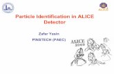 Particle Identification in ALICE Detector · • If time of flight (tof) is known for a particle that traverses a given flight path (tp), the energy of the particle E p, is given