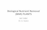 Biological Nutrient Removal (BNR) PLANTSmimoza.marmara.edu.tr/.../Biological-Nutrient-Removal-BNR-PLANTS… · Typical design parameters for commonly used biological phosphorus-removal