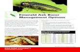 Emerald Ash Borer Management Options...1 The emerald ash borer (EAB) is an exotic insect that is destructive to ash trees (Fraxinus species).Although the adult stage causes minor feeding