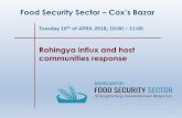 Rohingya influx and host communities response · Rohingya influx and host communities response ... Livelihoods presentation - CARE 6. AoB (JRP funding status, Livelihoods paper) GFD