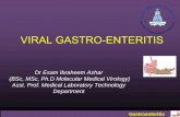 VIRAL GASTRO-ENTERITIS Gastroentritis_Medical...٣ Gastroenteritis Introduction (2) A number of different viruses cause diarrhoea, of which the most important is the family of ROTAVIRUSES.