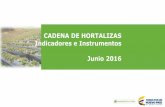 CADENA DE HORTALIZAS Indicadores e Instrumentos Junio 2016 · 1.2 Área, producción y rendimiento nacional del cultivo del tomate Fuente de la información: Anuario estadístico